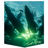 TM005 Boards Underwater- Trevor Moran